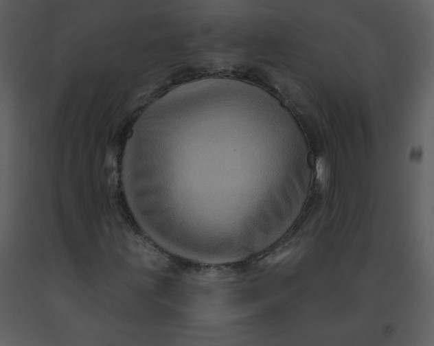 X0000093251203200710171417