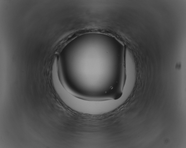 X0000093251206200710171417