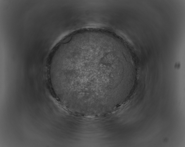 X0000093251208200710171417