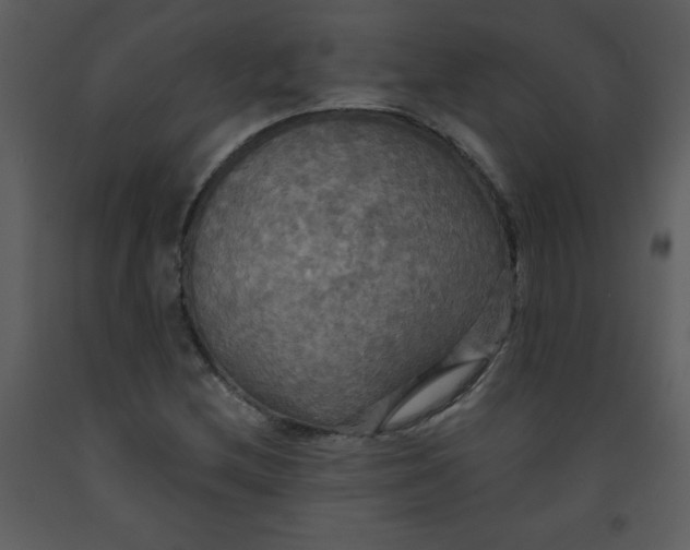 X0000093251212200710171417