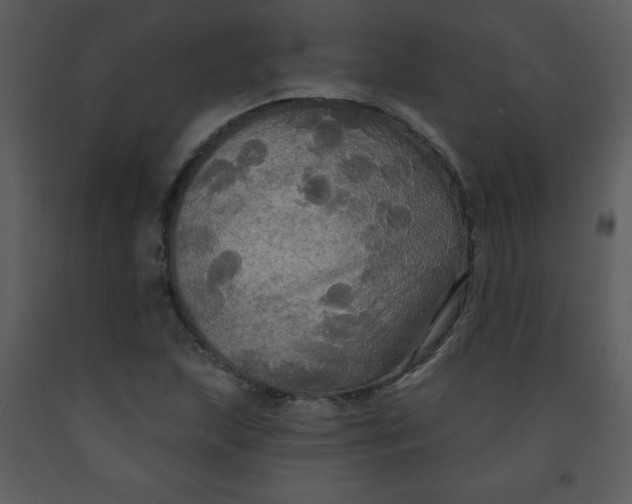 X0000093251215200710171417