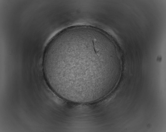 X0000093251216200710171417