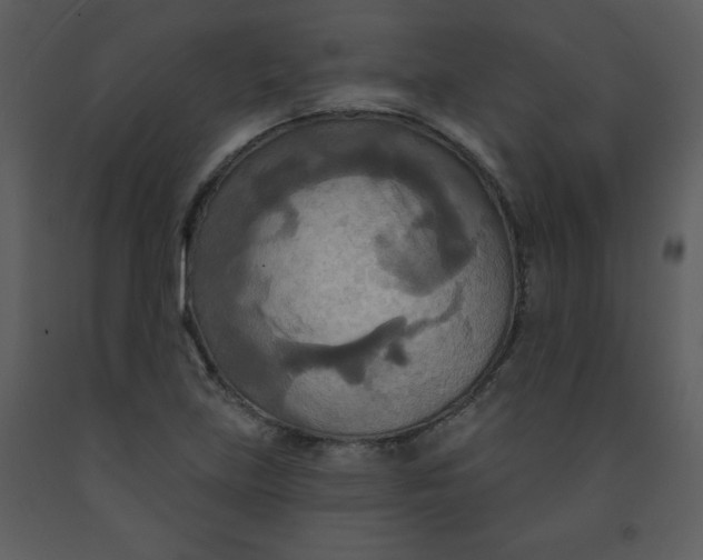 X0000093251219200710171417