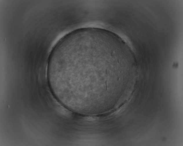 X0000093251224200710171417