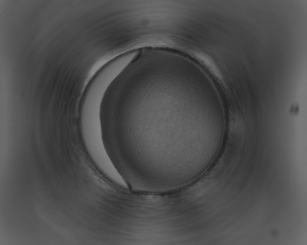 X0000093251226200710171417