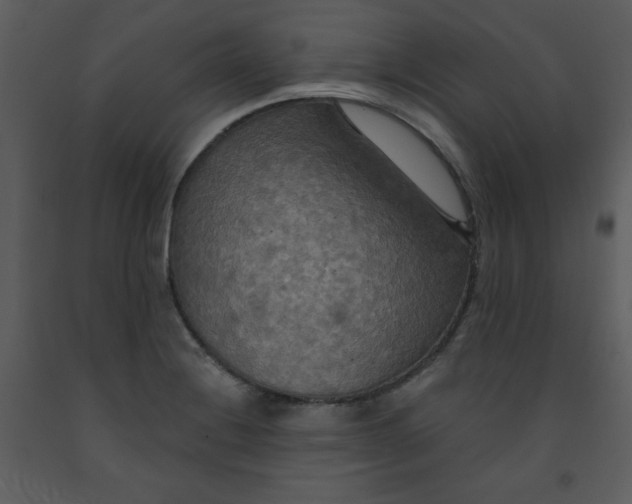 X0000093251228200710171417