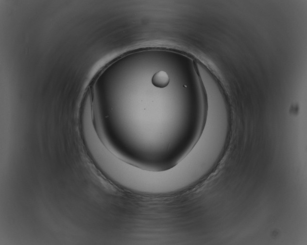 X0000093251230200710171418