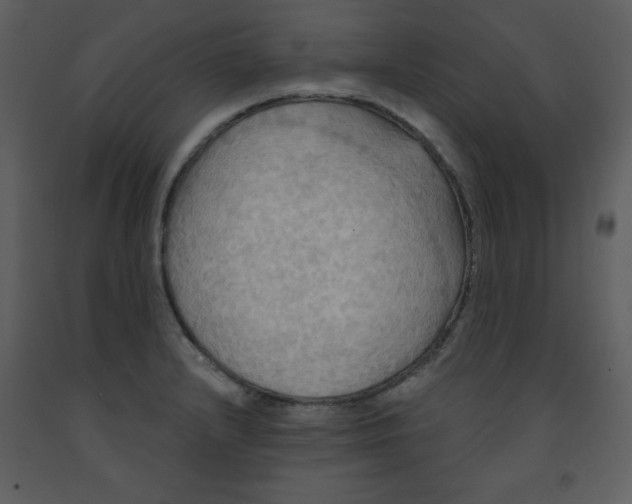 X0000093251232200710171418