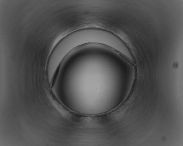 X0000093251234200710171418