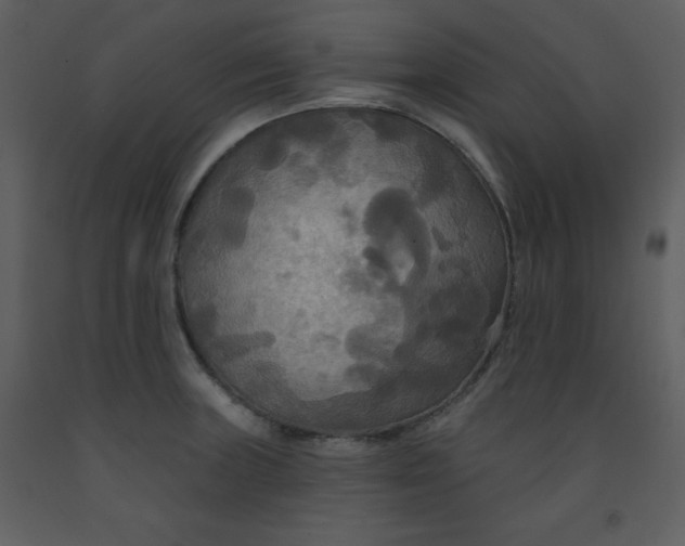 X0000093251235200710171418