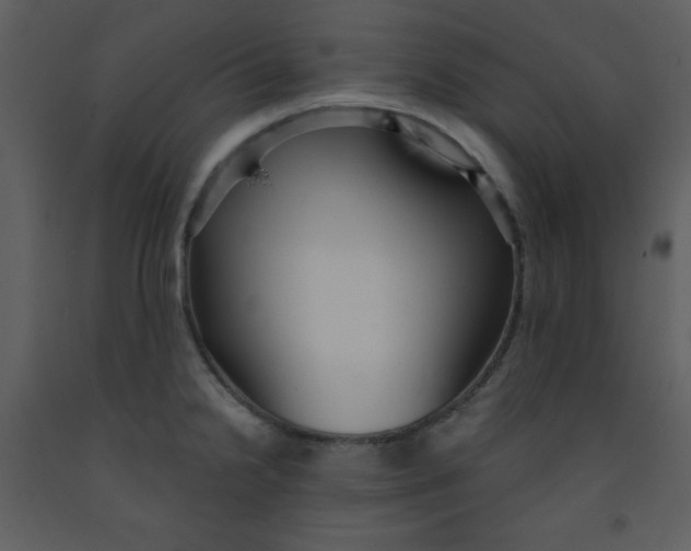 X0000093251238200710171418