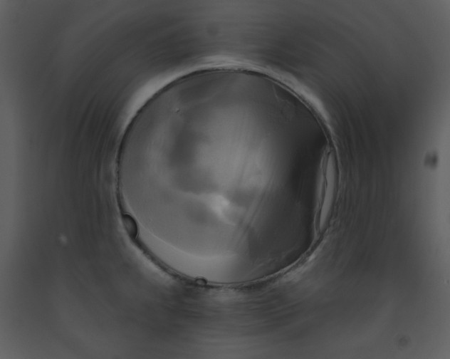 X0000093251239200710171418