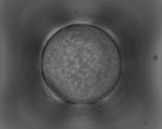 X0000093251240200710171418