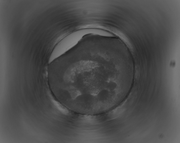 X0000093251241200710171418