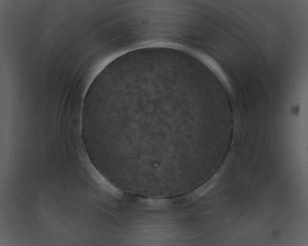 X0000093251244200710171418