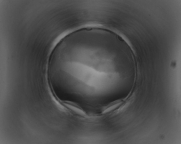 X0000093251245200710171418