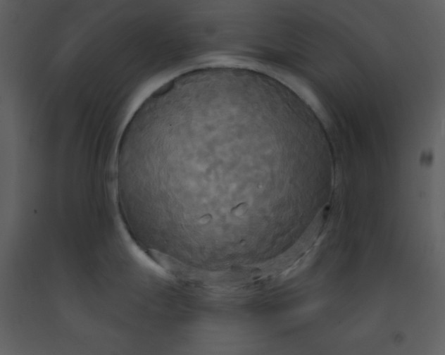 X0000093251247200710171418