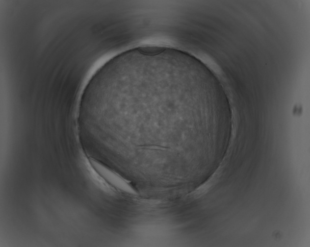 X0000093251248200710171418