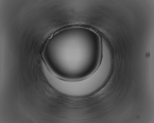 X0000093251257200710171417