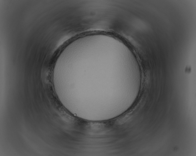 X0000093251258200710171417