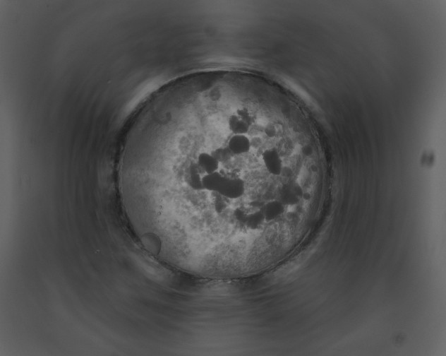 X0000093251259200710171417