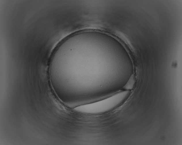 X0000093251260200710171417