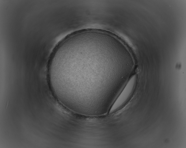 X0000093251264200710171417