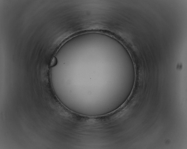 X0000093251265200710171417