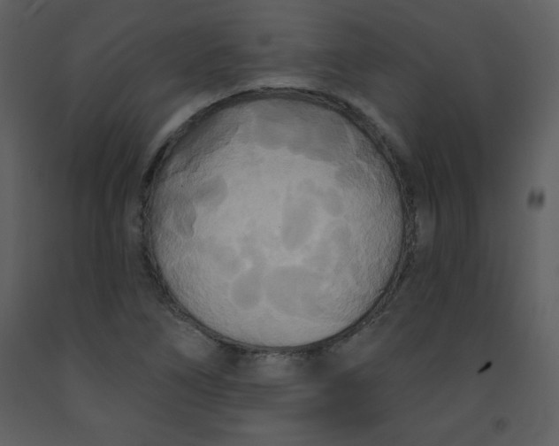 X0000093251266200710171417