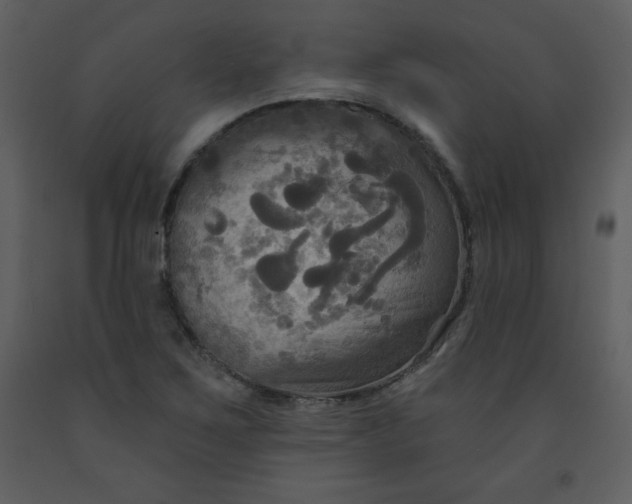 X0000093251267200710171417