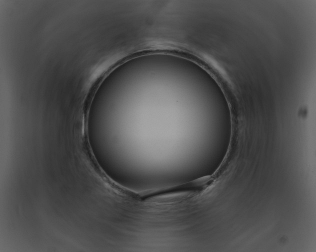 X0000093251269200710171417