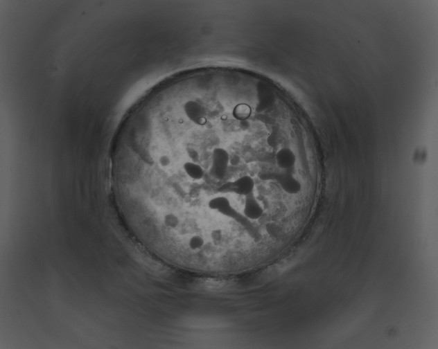 X0000093251271200710171417