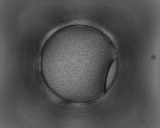 X0000093251272200710171417