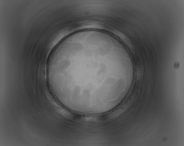 X0000093251274200710171417