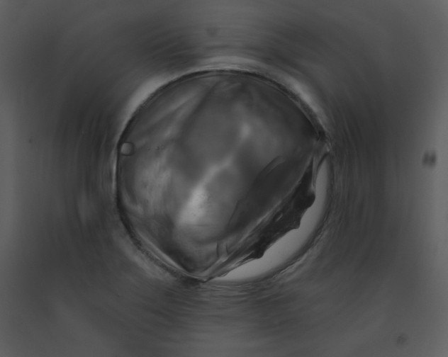 X0000093251275200710171417