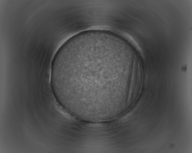 X0000093251276200710171417