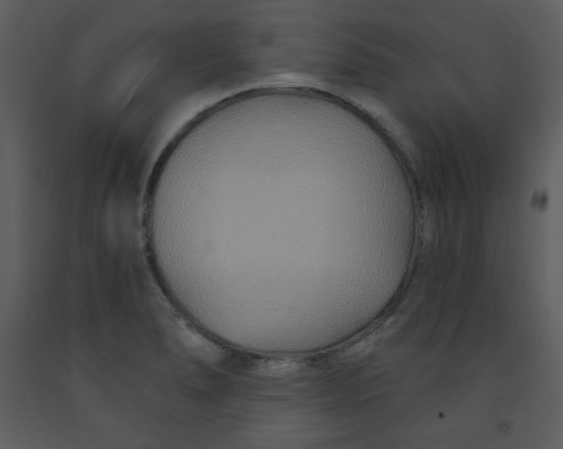 X0000093251278200710171417