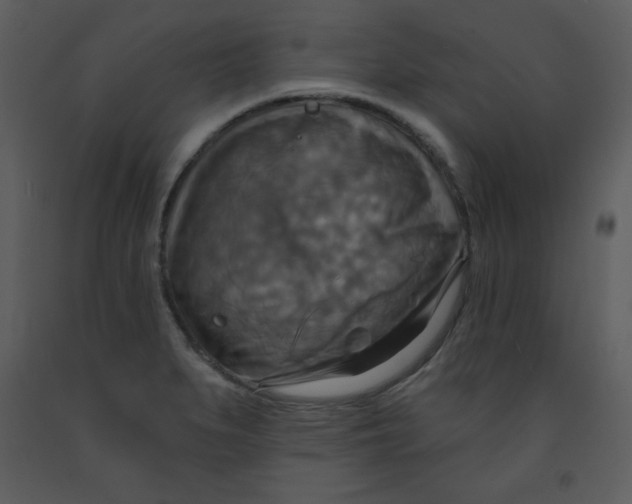 X0000093251279200710171417