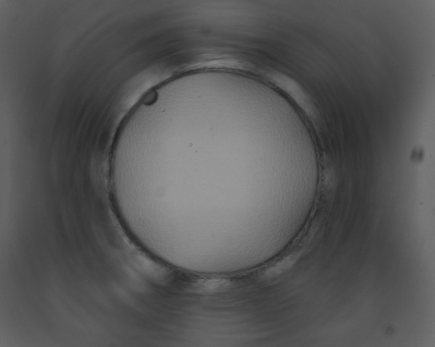 X0000093251282200710171417