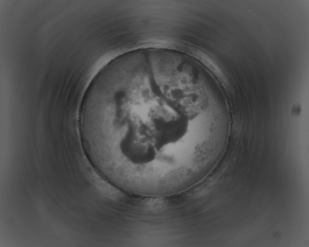 X0000093251283200710171417