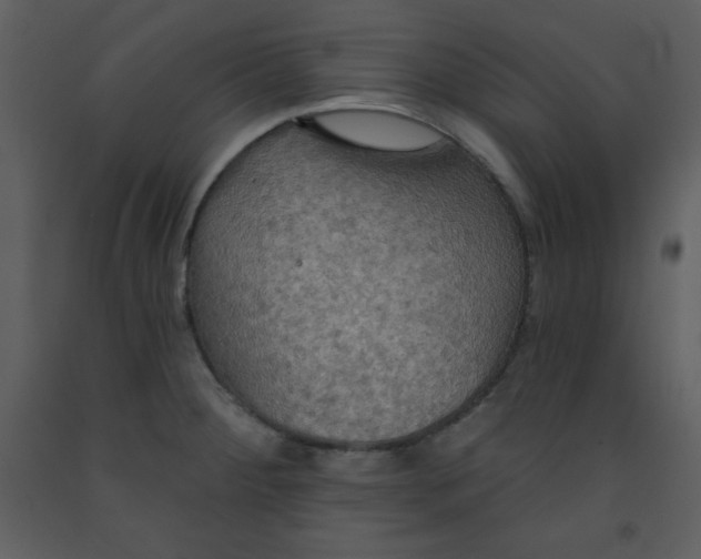 X0000093251284200710171417