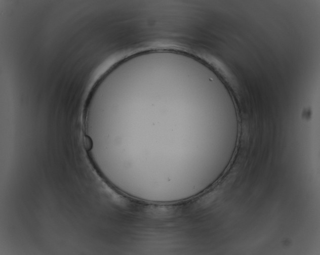 X0000093251286200710171417