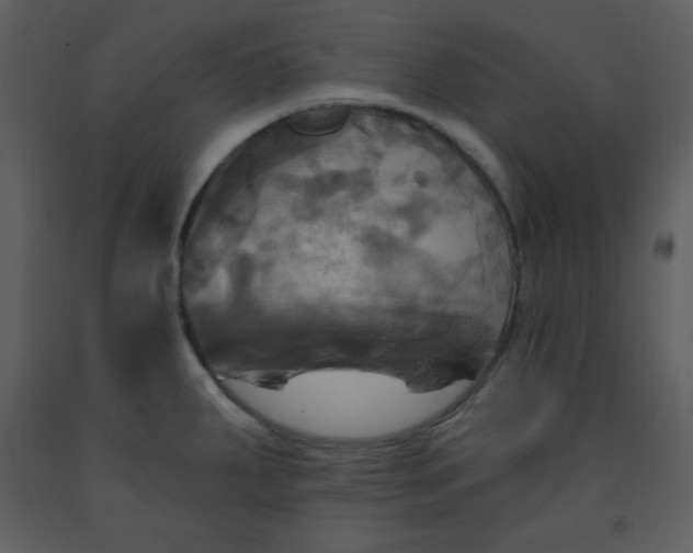 X0000093251287200710171417