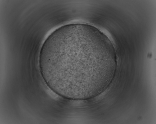 X0000093251288200710171417