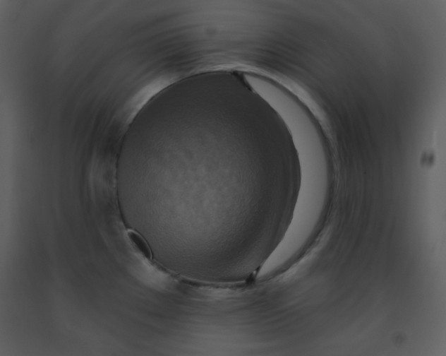 X0000093251289200710171417