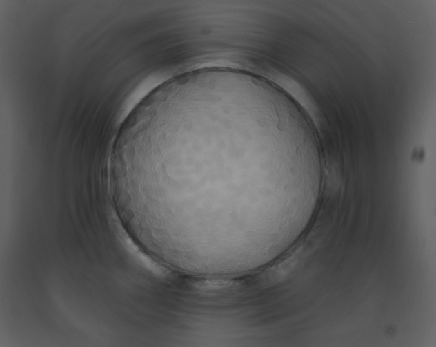 X0000093251290200710171417