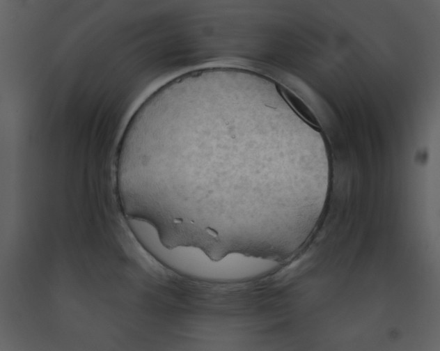 X0000093251292200710171416