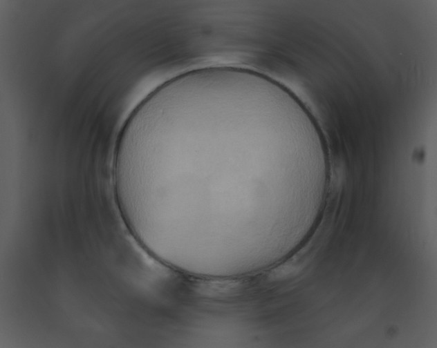 X0000093251294200710171416