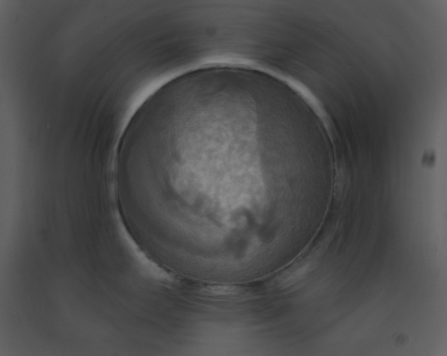 X0000093251295200710171416