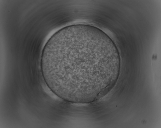 X0000093251296200710171416